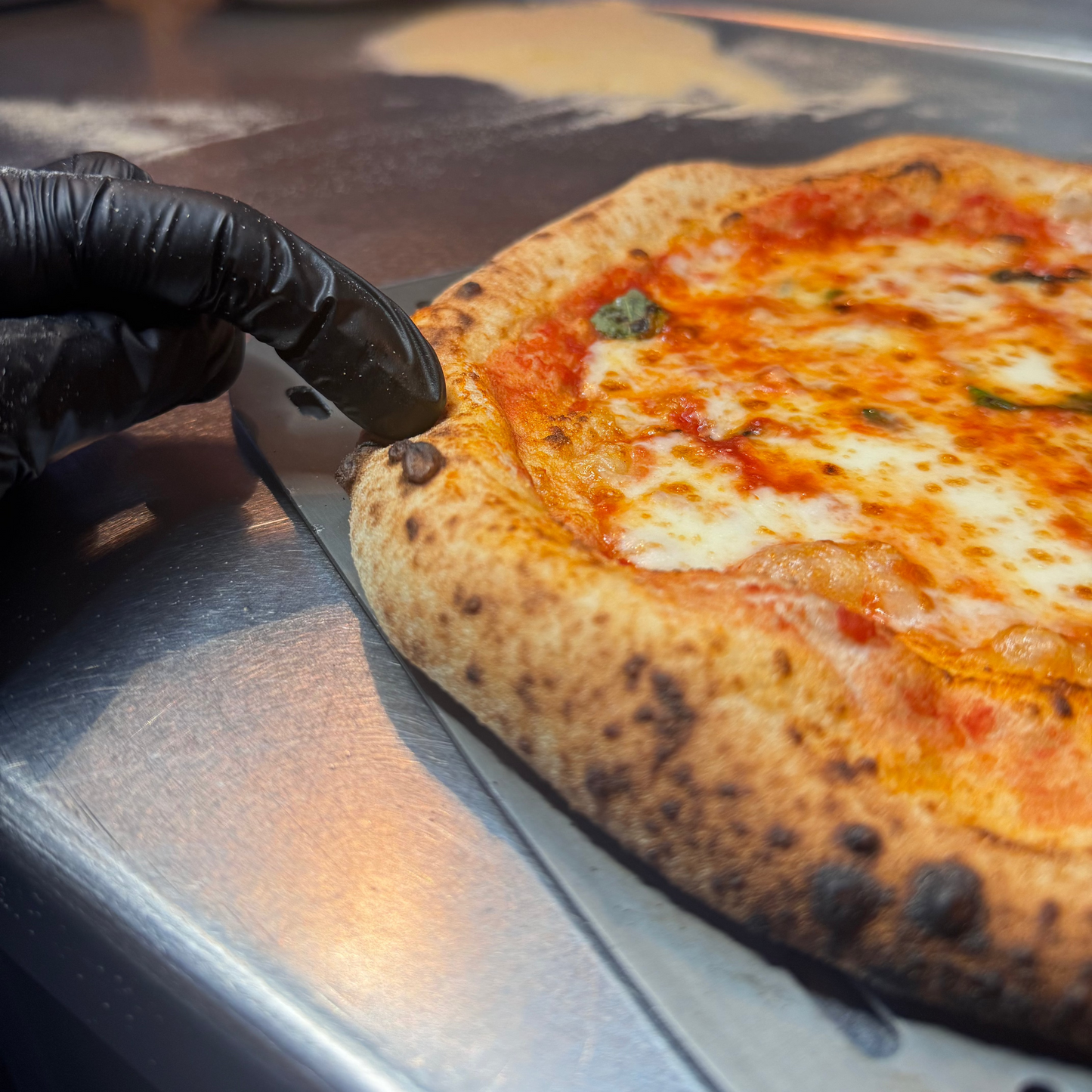 The motsarella pizza